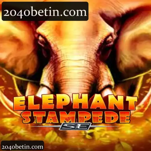 ElephantStampedeSE
